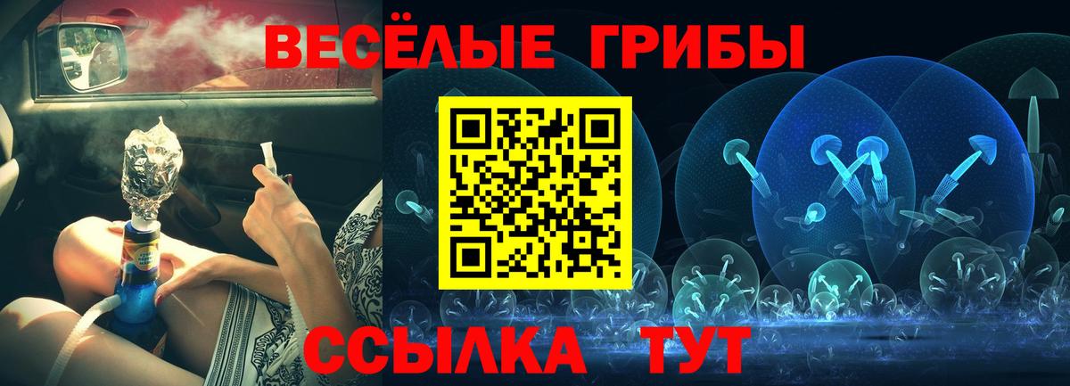 Псилоцибиновые грибы Psilocybe Углич