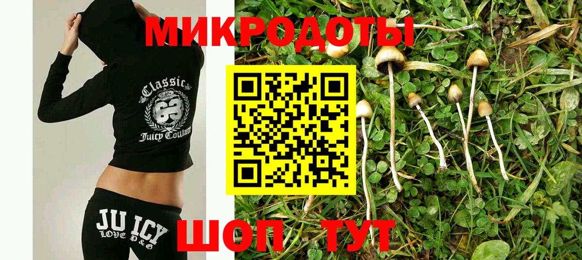 Углич  Псилоцибиновые грибы Psilocybine cubensis  Вход с VPN 
